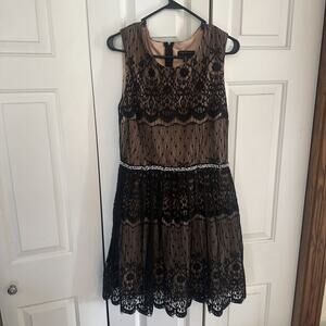 EVA LONGORIA Womens Black Lace Knee Length Dress Size 15